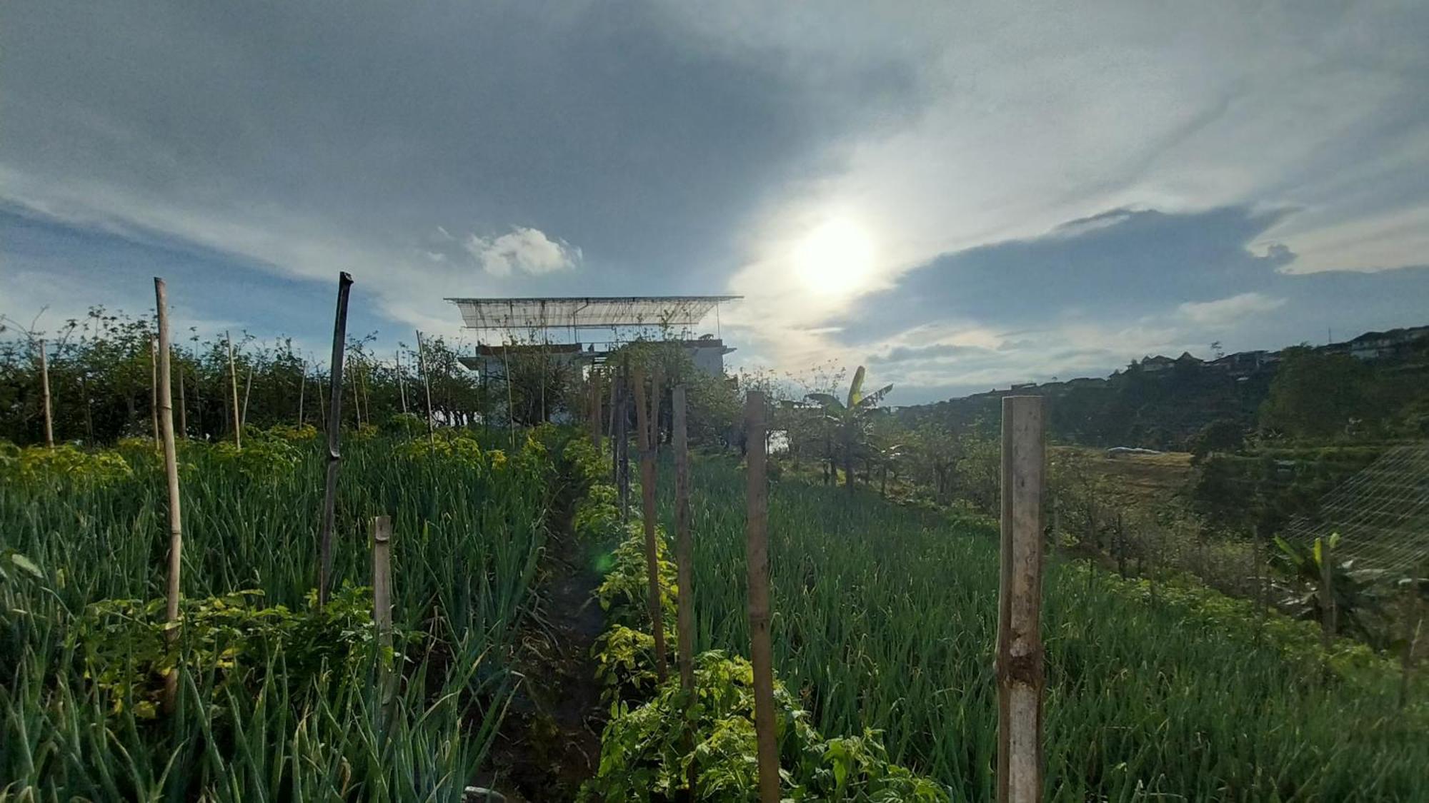 Maison Manendra - Bromo Malang Exterior foto